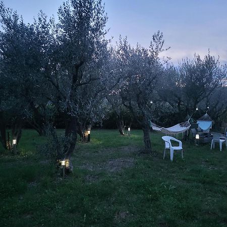 Maison Dans La Provence Verte Cotignac Eksteriør bilde